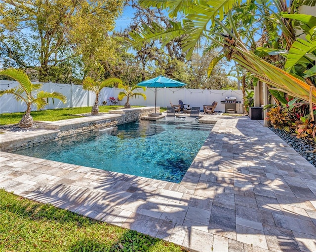 view of swimming pool with a fenced in pool, a grill, a fenced backyard, and a patio area