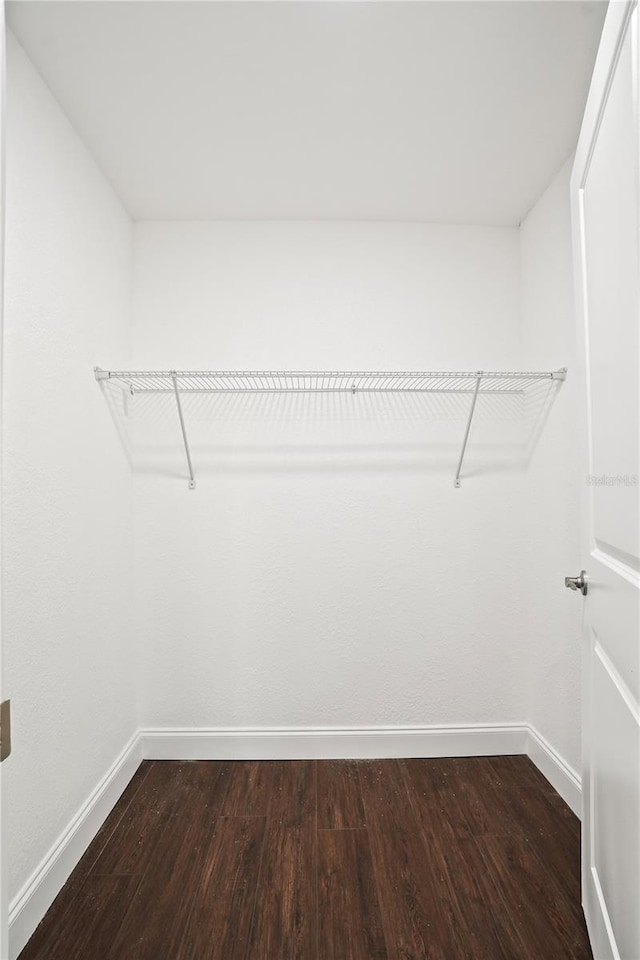 walk in closet featuring dark wood-style flooring