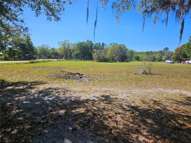 view of yard featuring a rural view