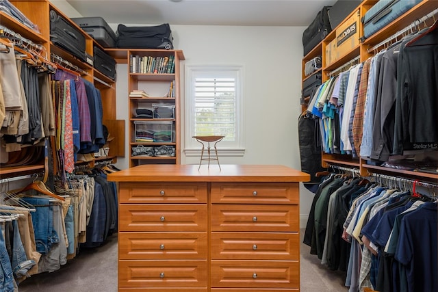 spacious closet featuring light colored carpet