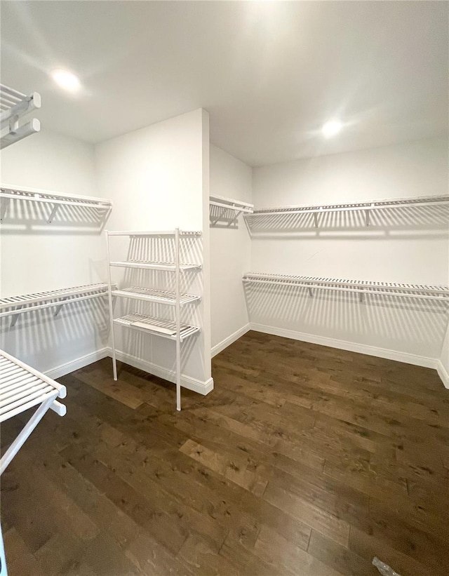 spacious closet featuring wood finished floors