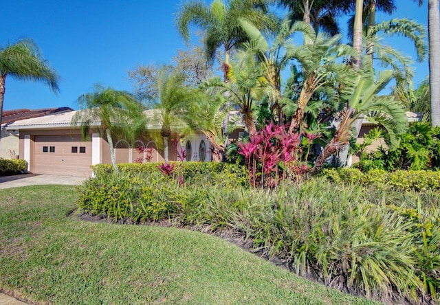 view of front of property featuring an attached garage, a front lawn, concrete driveway, and stucco siding