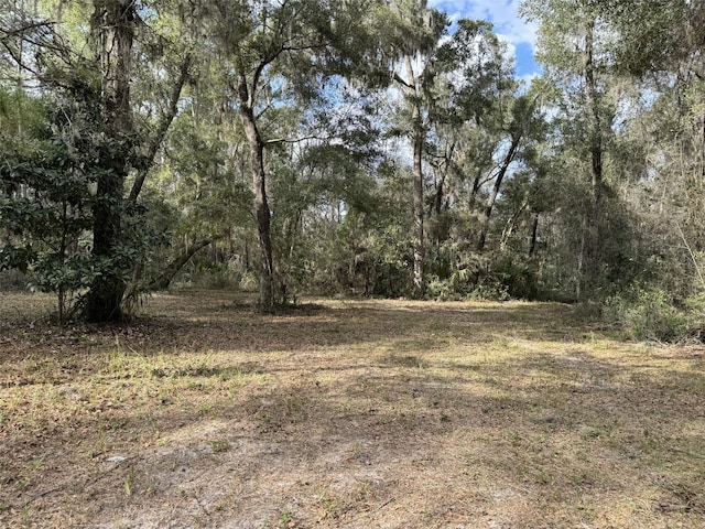 22422 NW 91 Court Rd, Micanopy FL, 32667 land for sale