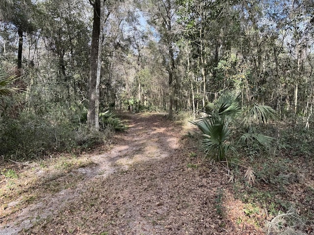 Listing photo 3 for 22422 NW 91 Court Rd, Micanopy FL 32667