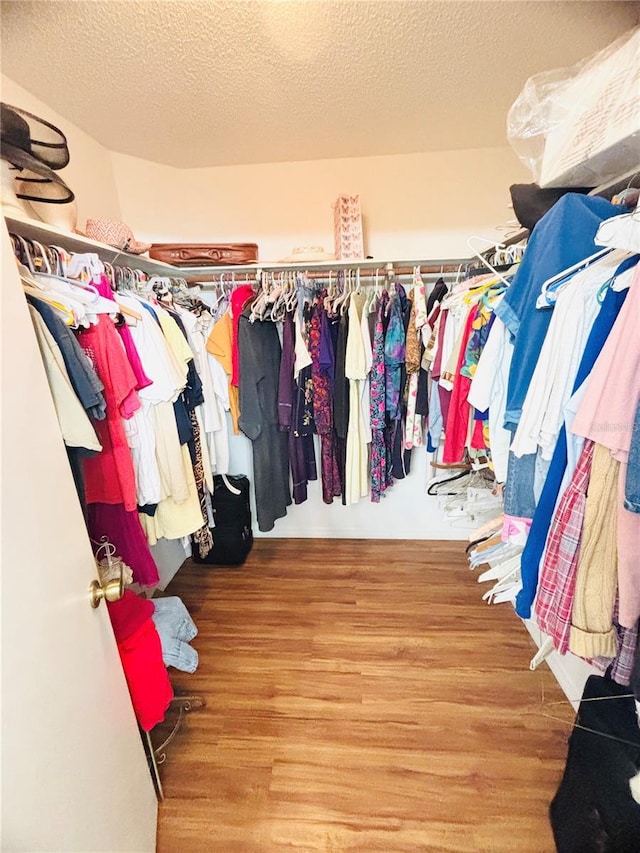 15013 Redcliff Dr, Tampa, FL 33625 - spacious closet with wood finished floors