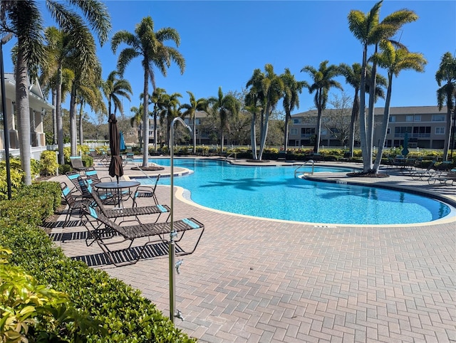 view of pool featuring a patio area