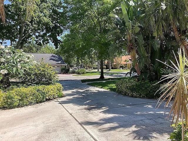 view of road featuring concrete driveway