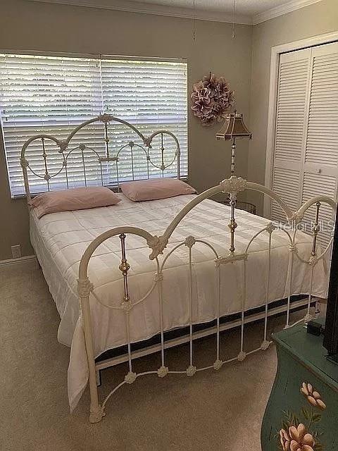 unfurnished bedroom featuring a closet, carpet flooring, crown molding, and baseboards