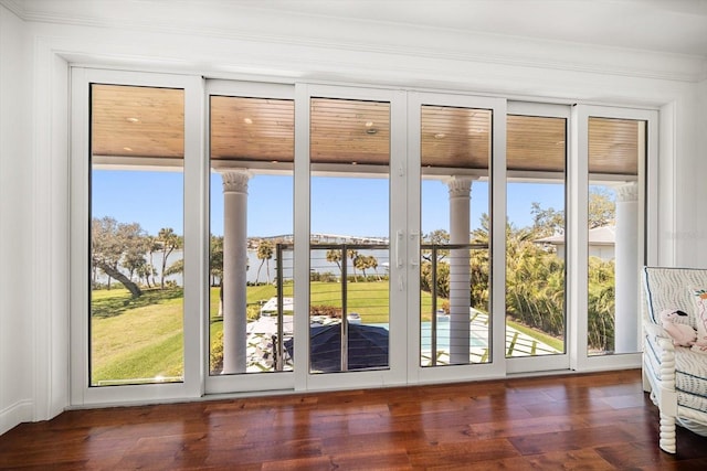 doorway with a wealth of natural light and hardwood / wood-style floors