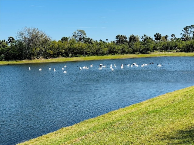 water view