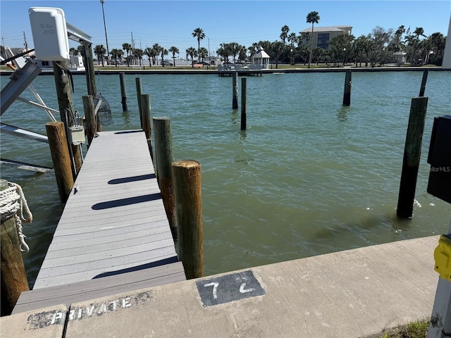 dock area with a water view