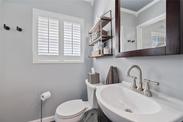 bathroom with crown molding, a sink, and toilet