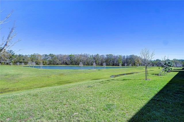 view of yard with a water view