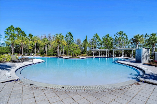 pool with a patio area and a pergola