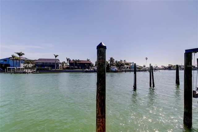 water view featuring a boat dock