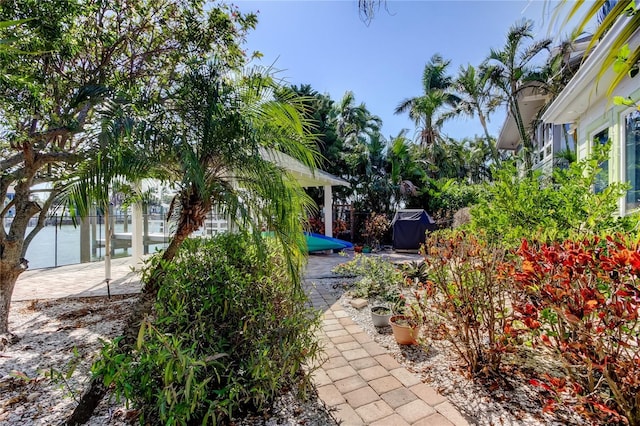 view of yard featuring a patio