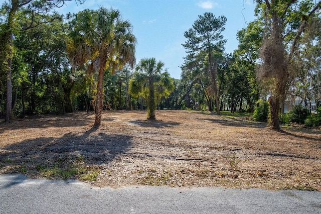 16219 Larson Ln, Hudson FL, 34667 land for sale