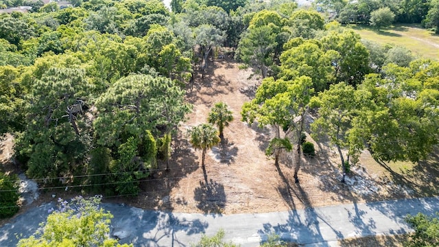 16219 Larson Ln, Hudson, FL 34667