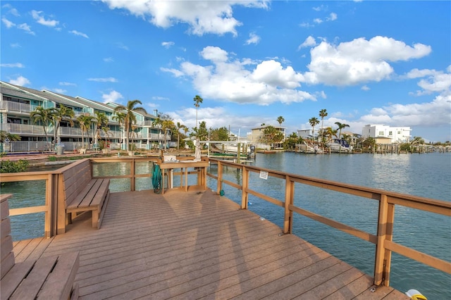 dock area with a water view