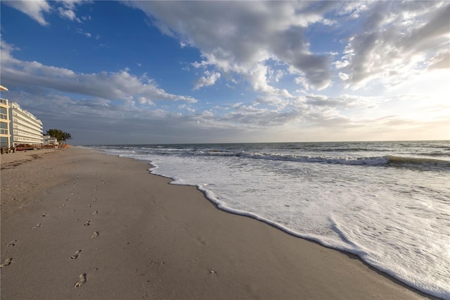 water view featuring a beach view