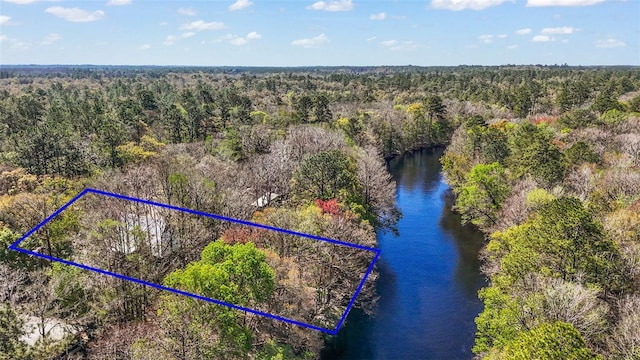 drone / aerial view featuring a water view and a view of trees