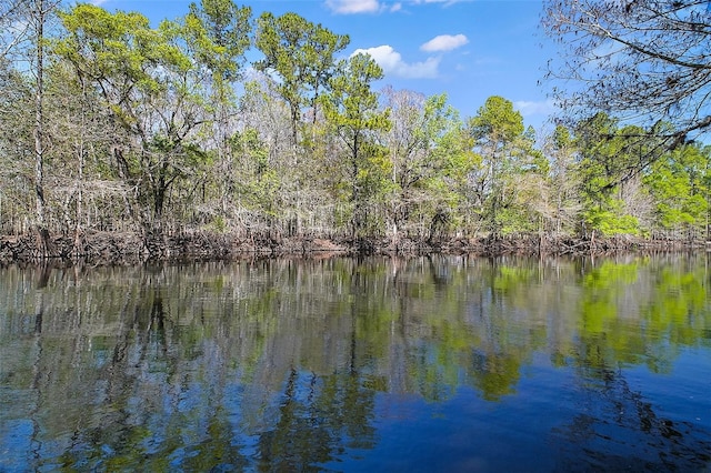 water view featuring a wooded view