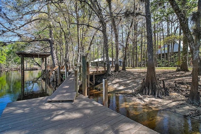 dock area with a water view