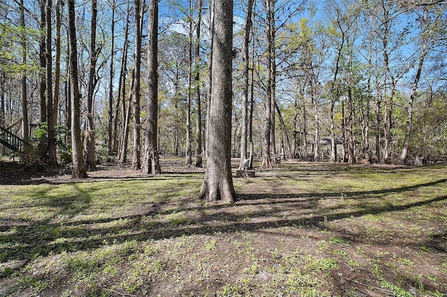 view of yard with a wooded view