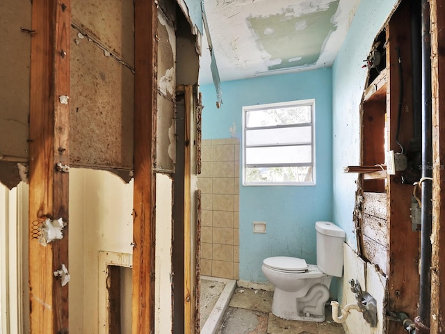 full bath featuring a stall shower and toilet