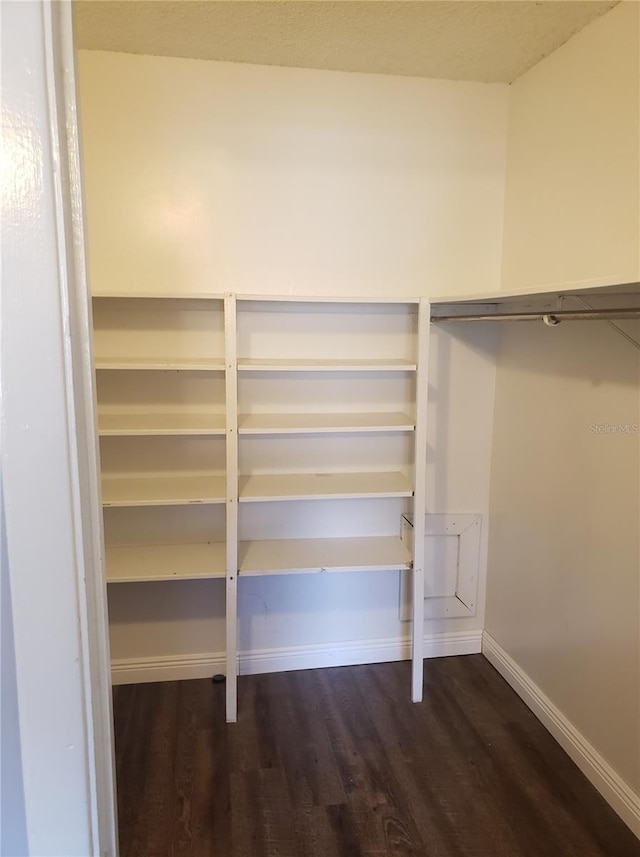 spacious closet featuring wood finished floors