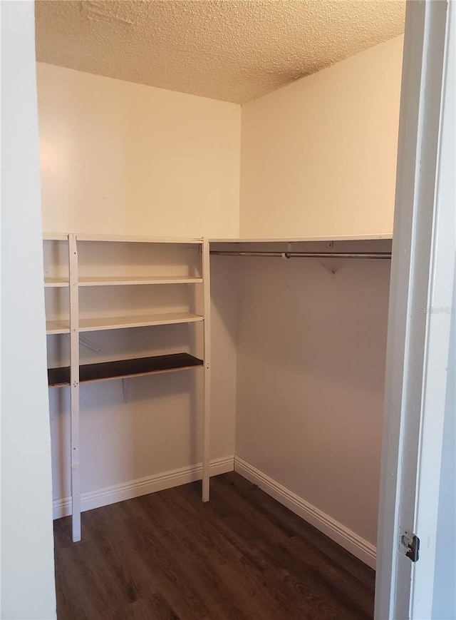 spacious closet with dark wood-type flooring