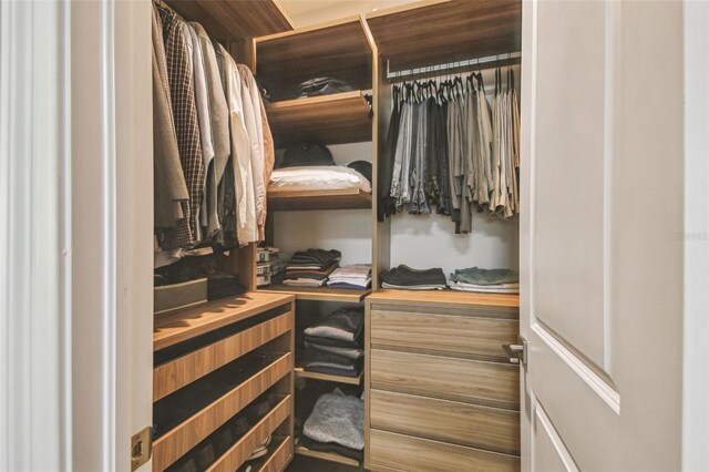 4012 W Morrison Ave, Tampa, FL 33629 - view of walk in closet