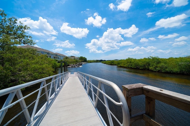 dock area with a water view