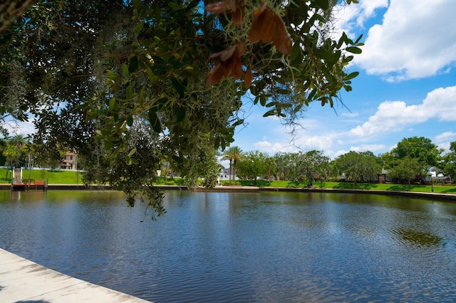 view of water feature