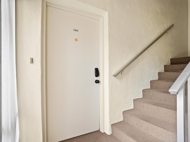 staircase featuring carpet floors