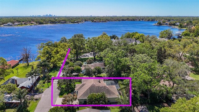 12010 Hardaman Pl, Tampa, FL 33618 - photo 3