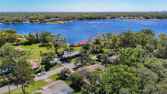 12010 Hardaman Pl, Tampa, FL 33618 - photo 44