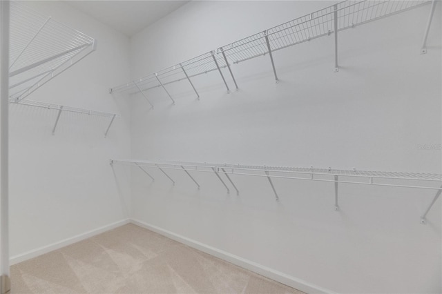 walk in closet featuring light colored carpet