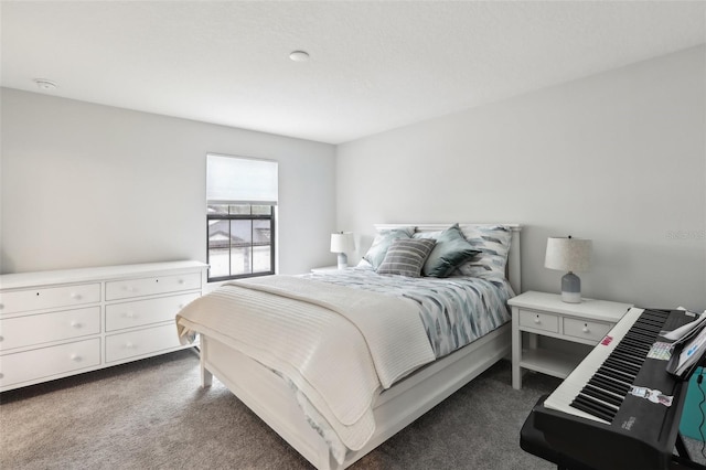 13176 Twin Bridges Dr, Riverview, FL 33579 - bedroom with dark carpet