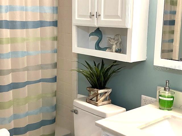 full bathroom featuring a shower with curtain, vanity, and toilet