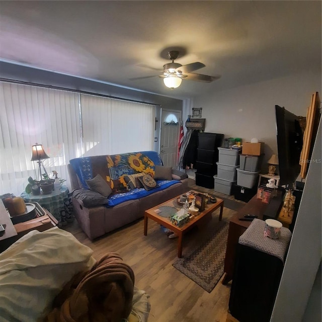 living room with ceiling fan and wood finished floors