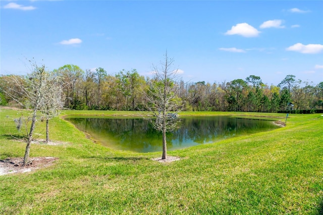 water view with a forest view