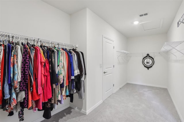 spacious closet with visible vents, carpet floors, and attic access