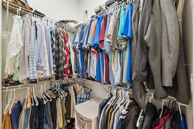 view of walk in closet