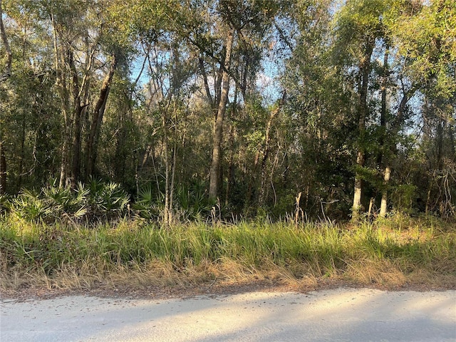 0 Gresham Rd, Webster FL, 33597 land for sale