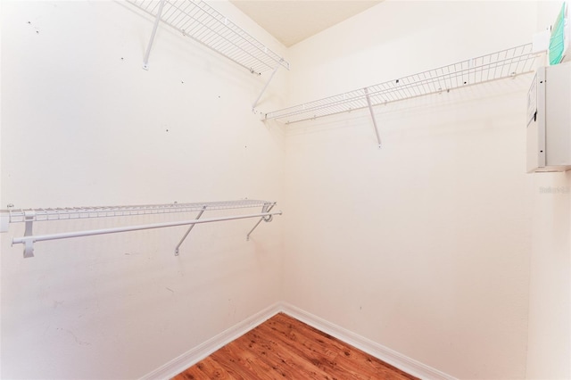 spacious closet with light wood finished floors