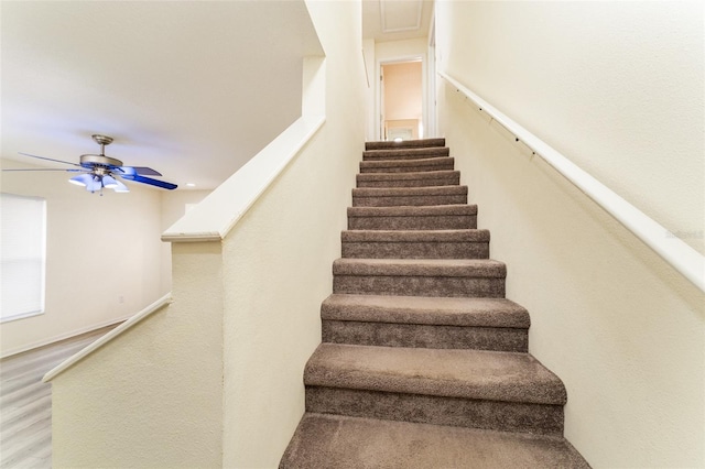 staircase featuring baseboards, a ceiling fan, and wood finished floors