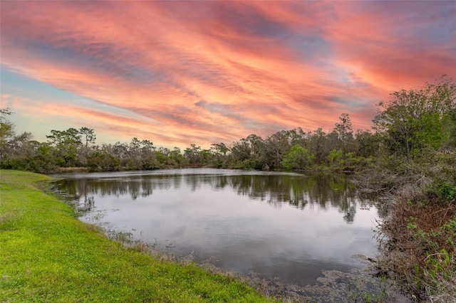 property view of water featuring a wooded view