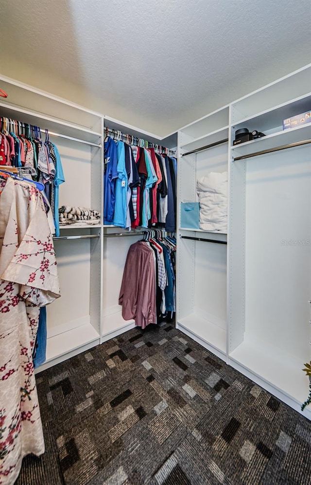 walk in closet with dark colored carpet