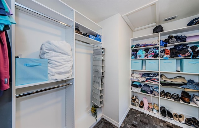 view of spacious closet